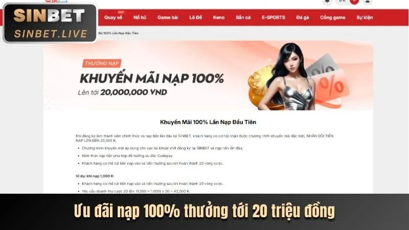 Hình ảnh đại diện cho câu chuyện và tầm nhìn của Ricwin